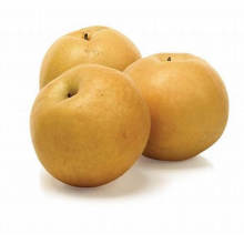 Asian Fresh singo pear Organic korea pear sweet and moisture high quality pear from China